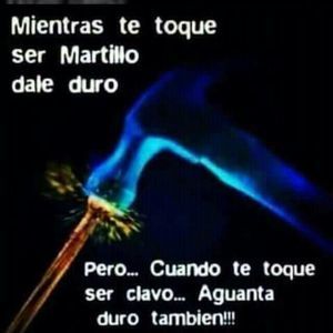 Meet your Posher, Miriam